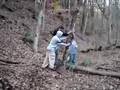 videos de JAMES AND ADAM TAKE DOWN A TREE