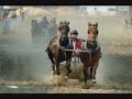 RODEO Barriere BC Fall Fair RODEO Barriere BC Fall Fair