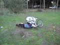 Alubias bici 3