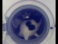 Joep wassen Joep wassen