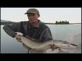 Alaska Fishing Guide DVD