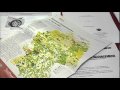 Video ansehen