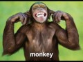 Favorite Animal Quiz: (a personality test) Favorite Animal Quiz: (a personality test)