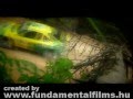 Acropolis Rallye - Beatiful scene