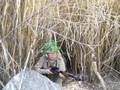 Vietnam war Re-enactors NVA sniper