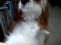 reilly-isabelle-.html