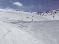 En la hoya con Felo