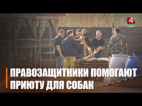 Гомельскія юрысты дапамагаюць бяздомным жывёлам видео