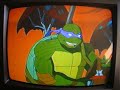Tortugas Ninja sur america Ninja Turtles latino voices 1