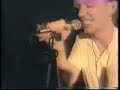 quando quango - tingle