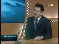 Gasovod naš nasušni