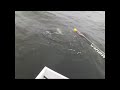 Click here to watch this video Katfish Charters - 3 Minutes in Heaven - May 25, 2012