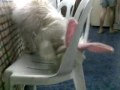 12152009040.mp4
