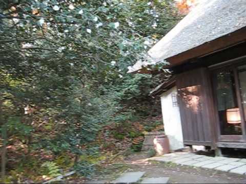 【旧白洲邸・武相荘の侘助】