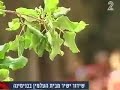 הלוויתו של אהוד מנור 1