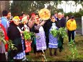 RENACER DE HIJUELAS (Lemu)