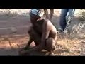 San or Bushmen of Africa Namibia Africa