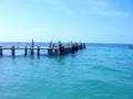 Las Tortugas, Cancun