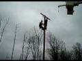 OLD DUDE CLIMBS POLE........