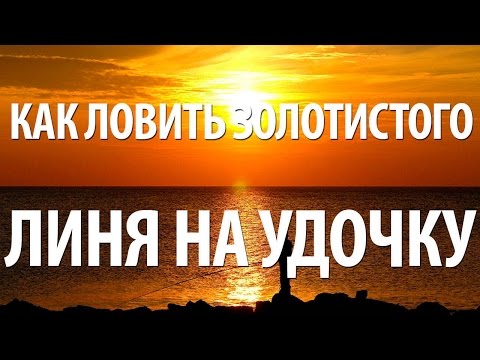 YouTube Трейлер