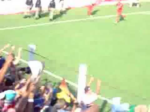Rio branco leao da estradinha