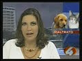 masacre en puerto rico