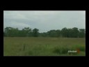 Wilderness Survival: Paul Tarsitano