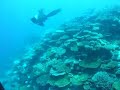 Thinadhoo Thila