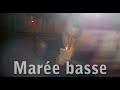 marée basse.wmv