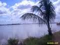 Surinam Clip