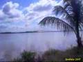 Surinam Clip