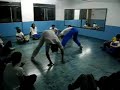 CM minhoca e trenel amarelo, capoeira angola CM minhoca e trenel amarelo, capoeira angola