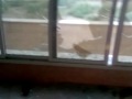 What really happened in University Dorms of Tehran University Iran