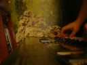 Europe: Final Countdown piano\\keyboard
