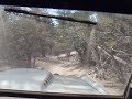 Trail Runnin in Big Bear