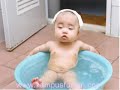 funny photos