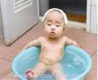 funny photos