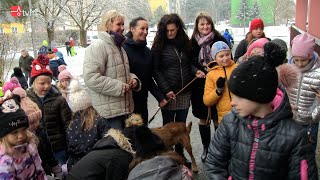 Sbírka pro psí útulky na ZŠ Vodní 2023