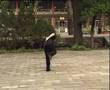 Yin Baguazhang - long 8 palms form
