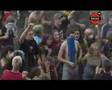 ZIELONE ŻABKI - Przystanek Woodstock 2007