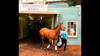 Kindle 2nd Ken Maddy Grade 3 Stakes Oct 10 2012