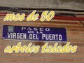 gracias por talarnos los arboles