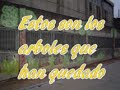gracias por talarnos los arboles