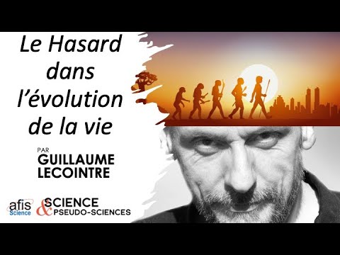 Image de prévisualisation YouTube