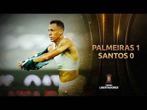 Palmeiras 1-0 Santos 