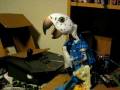 videos de Modified Singing Bird Animatronic