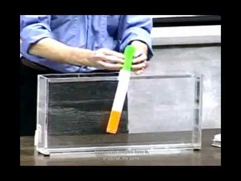 Imagen de previsualización de YouTube