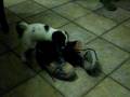 IMG_0010.AVI