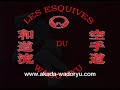Alain Ferry 6ème Dan FFKAMA présente 18 esquives filmées osus différents angles, au ralenti et avec des commentaires. Vous pourrez ainsi parfaire votre technique des esquives grâce à ce DVD.