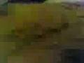 VID00042.3gp